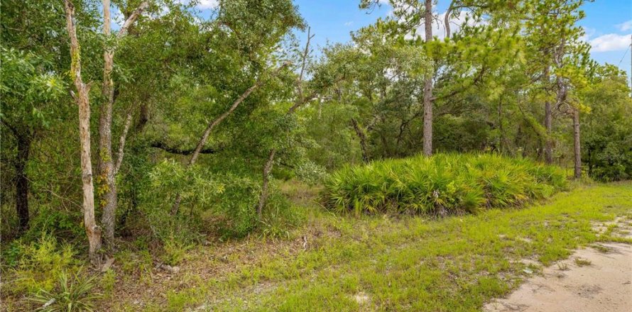 Terreno en Weeki Wachee, Florida № 1816193