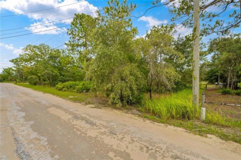 Terreno en venta en Weeki Wachee, Florida № 1816193 - foto 17