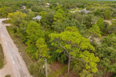 Terreno en venta en Weeki Wachee, Florida № 1816193 - foto 3