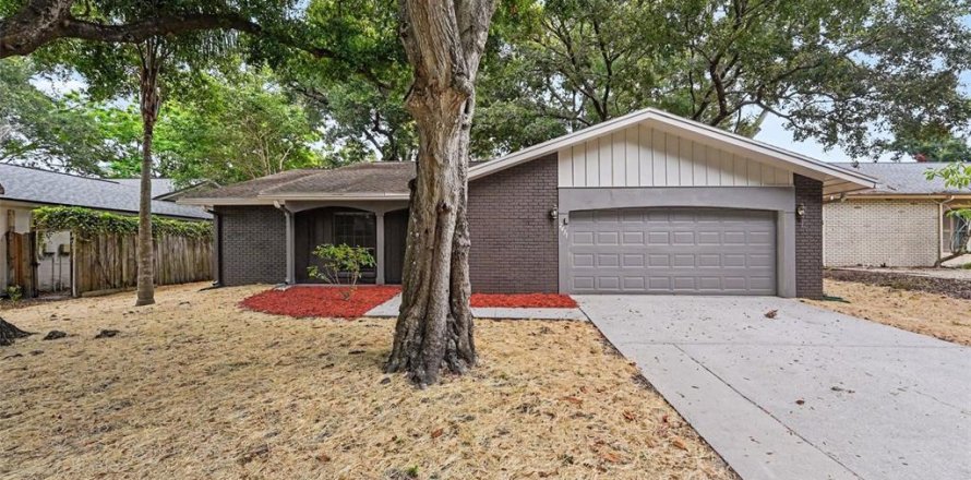 House in Palm Harbor, Florida 3 bedrooms, 162.49 sq.m. № 2231396