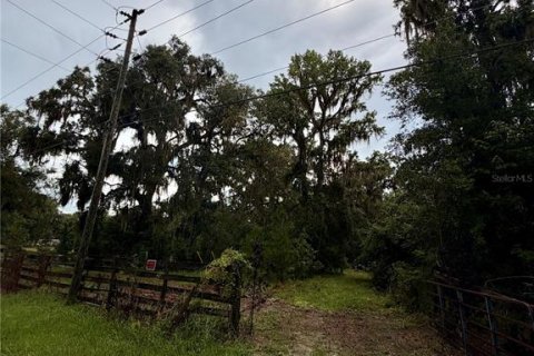 Land in Micanopy, Florida № 2352287