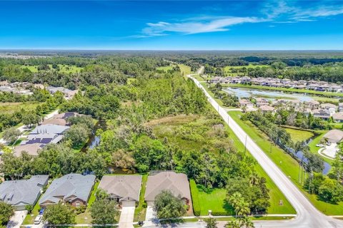 Villa ou maison à vendre à Land O' Lakes, Floride: 4 chambres, 312.71 m2 № 2295014 - photo 3