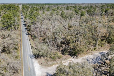 Terreno en venta en Wellborn, Florida № 1582176 - foto 17