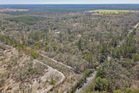 Terreno en venta en Wellborn, Florida № 1582176 - foto 23