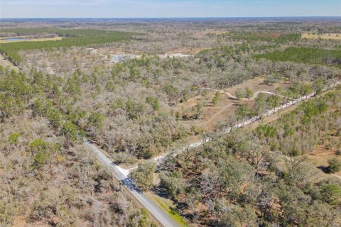 Terreno en venta en Wellborn, Florida № 1582176 - foto 22