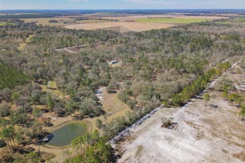 Terreno en venta en Wellborn, Florida № 1582176 - foto 24
