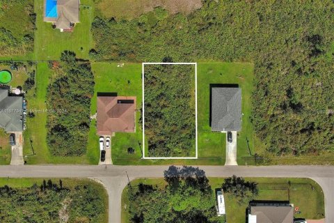 Land in Lehigh Acres, Florida № 2164322 - photo 2