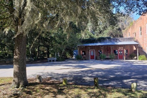 Commercial property in Micanopy, Florida 249.44 sq.m. № 221861 - photo 2