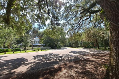 Commercial property in Micanopy, Florida 249.44 sq.m. № 221861 - photo 9