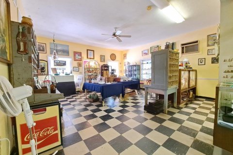 Commercial property in Micanopy, Florida 249.44 sq.m. № 221861 - photo 7