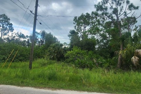 Land in Port Charlotte, Florida № 2160206 - photo 4