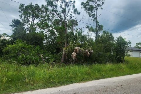 Land in Port Charlotte, Florida № 2160206 - photo 2