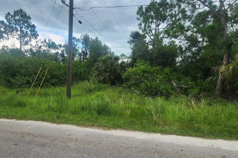 Land in Port Charlotte, Florida № 2160206 - photo 3