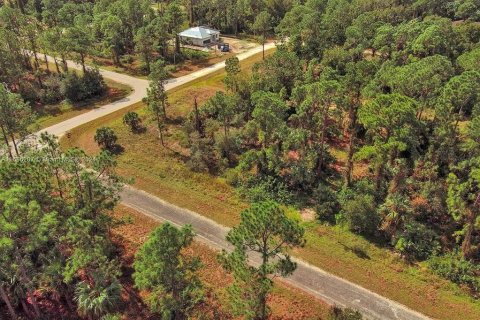 Land in Lehigh Acres, Florida № 2164323 - photo 6