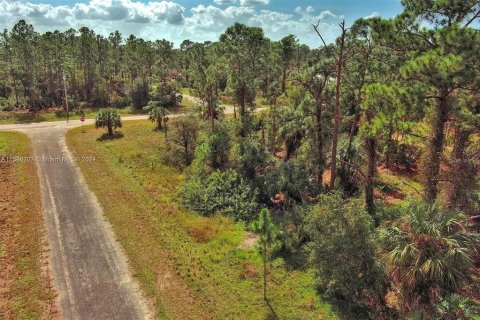 Land in Lehigh Acres, Florida № 2164323 - photo 7