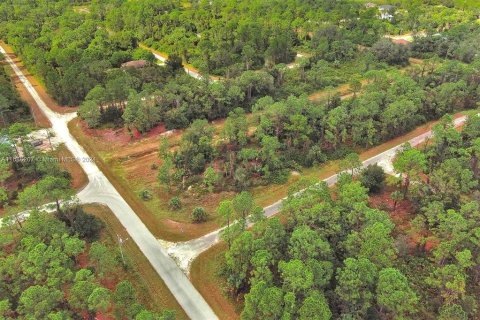Land in Lehigh Acres, Florida № 2164323 - photo 18