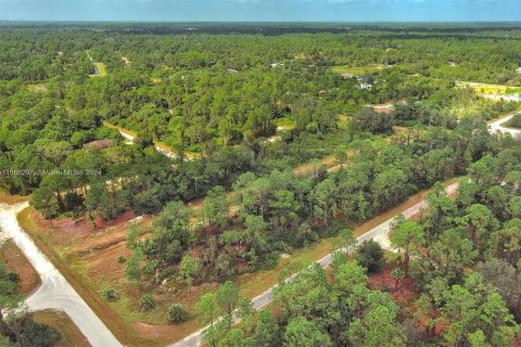 Land in Lehigh Acres, Florida № 2164323 - photo 15