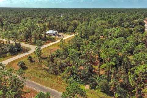 Land in Lehigh Acres, Florida № 2164323 - photo 5