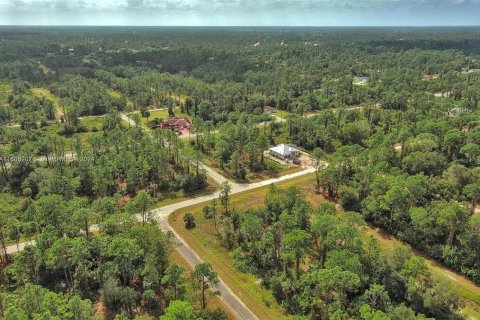 Land in Lehigh Acres, Florida № 2164323 - photo 13
