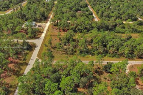 Land in Lehigh Acres, Florida № 2164323 - photo 14