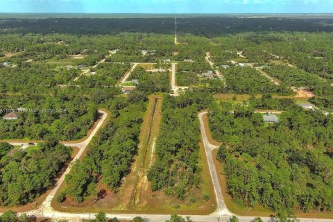 Land in Lehigh Acres, Florida № 2164323 - photo 17