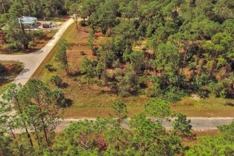 Land in Lehigh Acres, Florida № 2164323 - photo 4