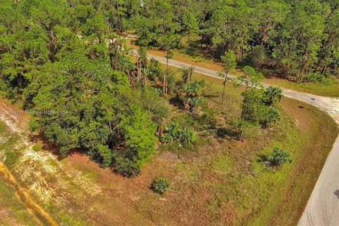 Land in Lehigh Acres, Florida № 2164323 - photo 8