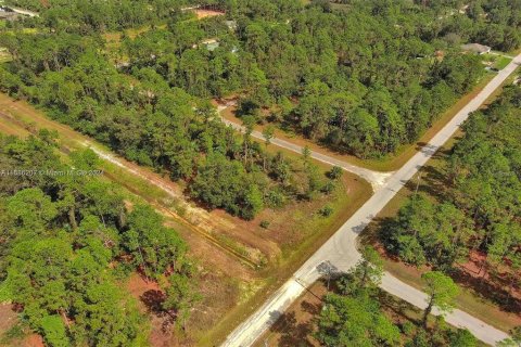 Land in Lehigh Acres, Florida № 2164323 - photo 9