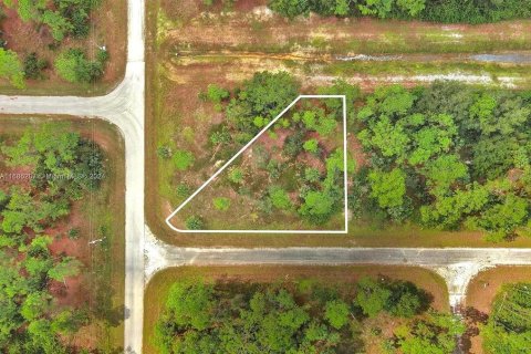 Land in Lehigh Acres, Florida № 2164323 - photo 2