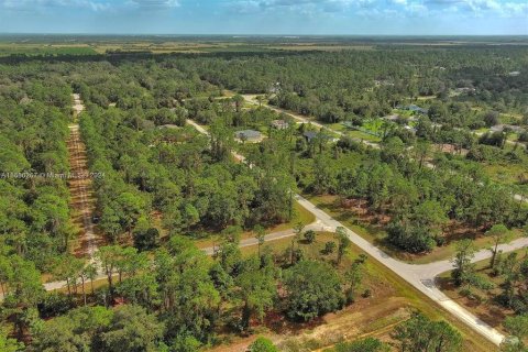 Land in Lehigh Acres, Florida № 2164323 - photo 12