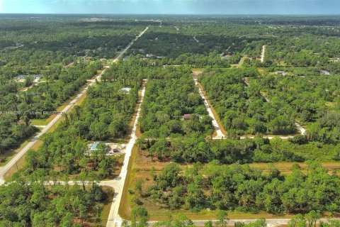 Land in Lehigh Acres, Florida № 2164323 - photo 16