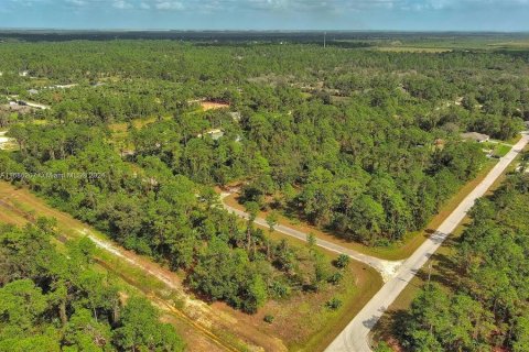 Land in Lehigh Acres, Florida № 2164323 - photo 10