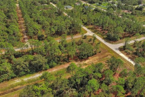 Land in Lehigh Acres, Florida № 2164323 - photo 11