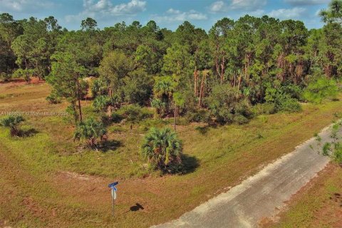 Land in Lehigh Acres, Florida № 2164323 - photo 3
