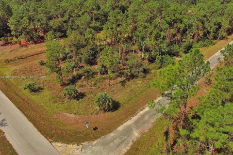 Land in Lehigh Acres, Florida № 2164323