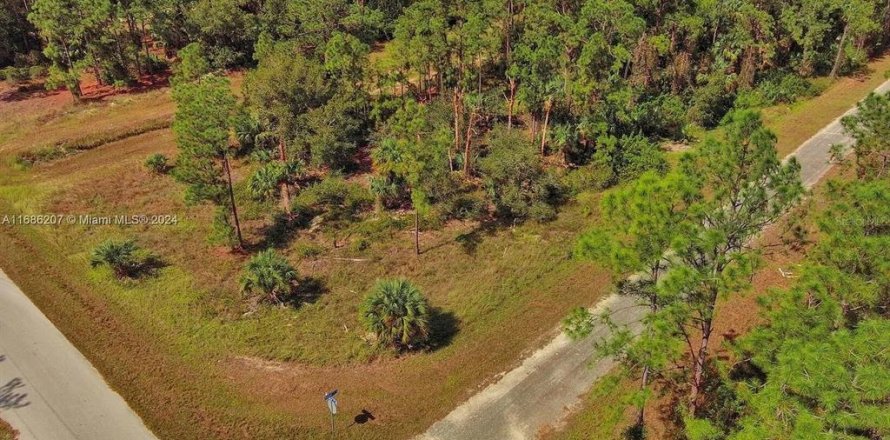 Land in Lehigh Acres, Florida № 2164323