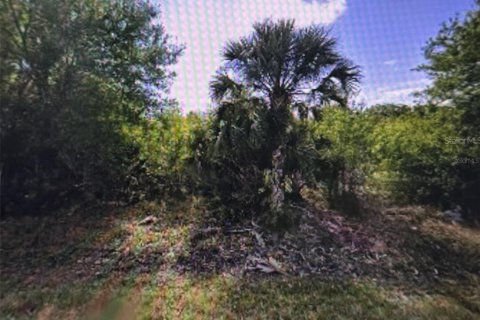Terreno en Punta Gorda, Florida № 2164449