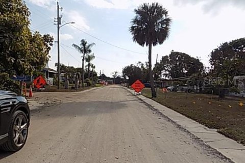 Land in Palmetto, Florida № 2163870 - photo 4