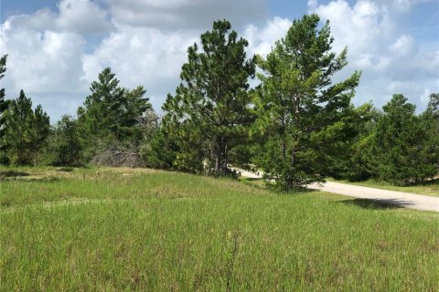 Land in Sebring, Florida № 1787500 - photo 4