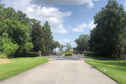 Land in Sebring, Florida № 1787500 - photo 12