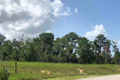 Land in Sebring, Florida № 1787500 - photo 1