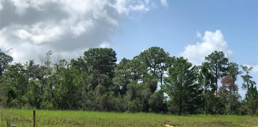 Land in Sebring, Florida № 1787500