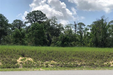 Land in Sebring, Florida № 1787500 - photo 2