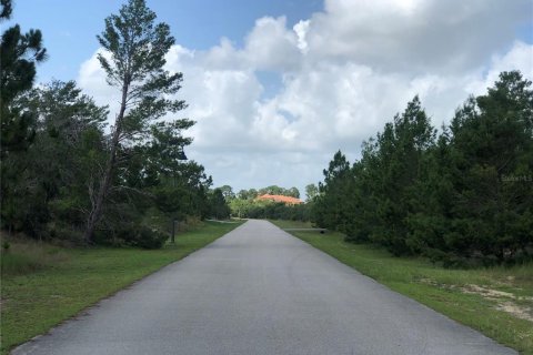 Land in Sebring, Florida № 1787500 - photo 6
