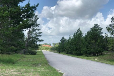 Land in Sebring, Florida № 1787500 - photo 5