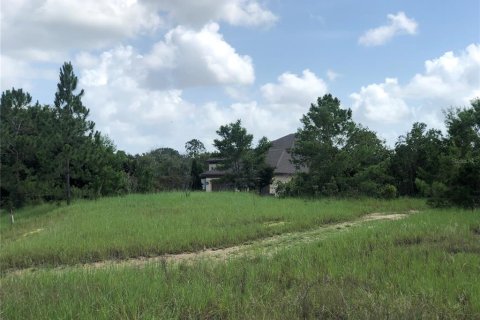 Land in Sebring, Florida № 1787500 - photo 3