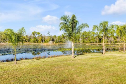 Casa en venta en Pierson, Florida, 7 dormitorios, 342.34 m2 № 2143532 - foto 6