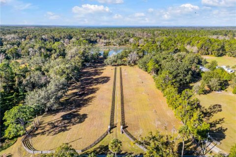 Casa en venta en Pierson, Florida, 7 dormitorios, 342.34 m2 № 2143532 - foto 8
