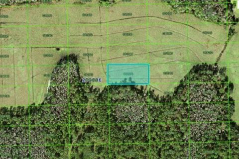 Terreno en Polk City, Florida № 2226933