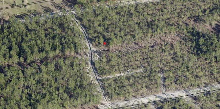 Land in Jacksonville, Florida № 1636055
